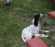 July4th 2009 010